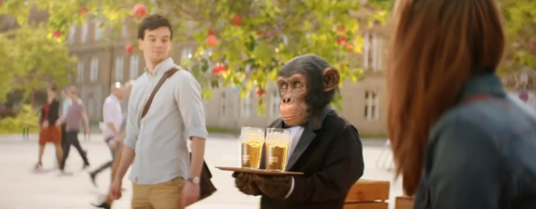Cider Kingswood opět se šimpanzím číšníkem