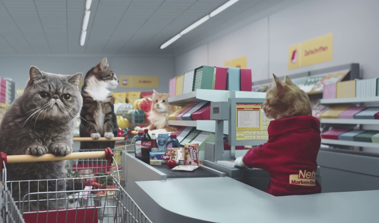 Supermarket vhodný i pro nakupující kočky