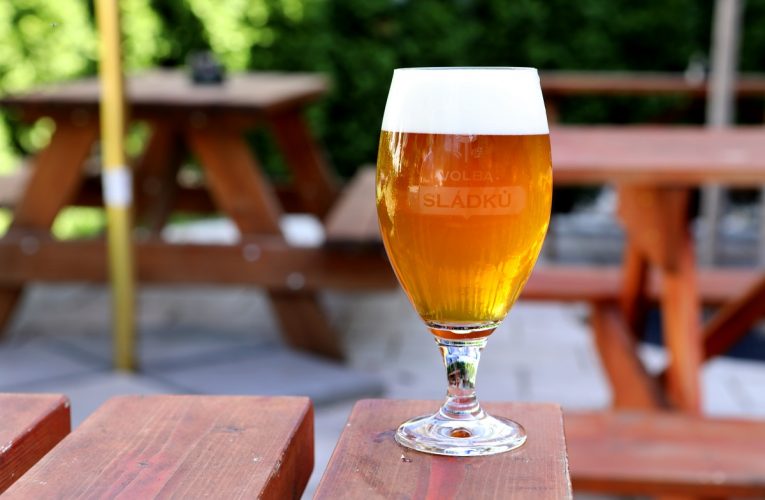 Prazdroj ve Volbě sládků jako první nabízí pivo z nové odrůdy žateckého chmele – Master Boomerang