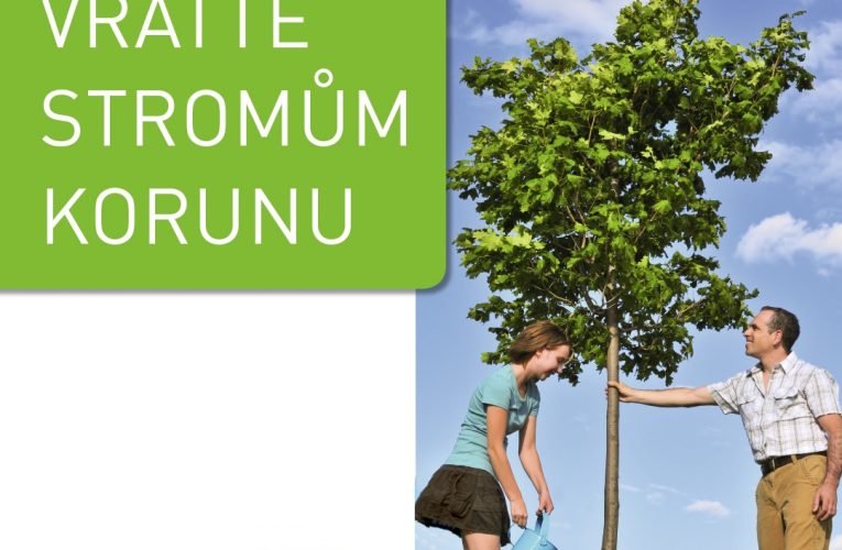 ROSSMANN a Henkel opět vysadí stromy ve městech