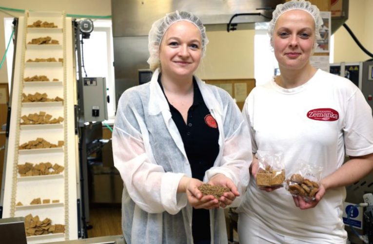 Plzeňský Prazdroj zkouší využít mláto na sušenky