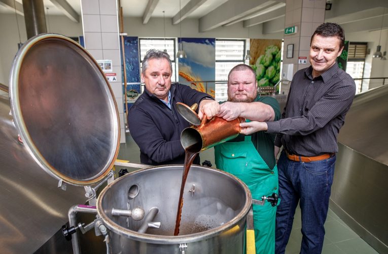 Starobrněnští sládci uvařili Zelené pivo, které se začne čepovat na velikonoční Zelený čtvrtek
