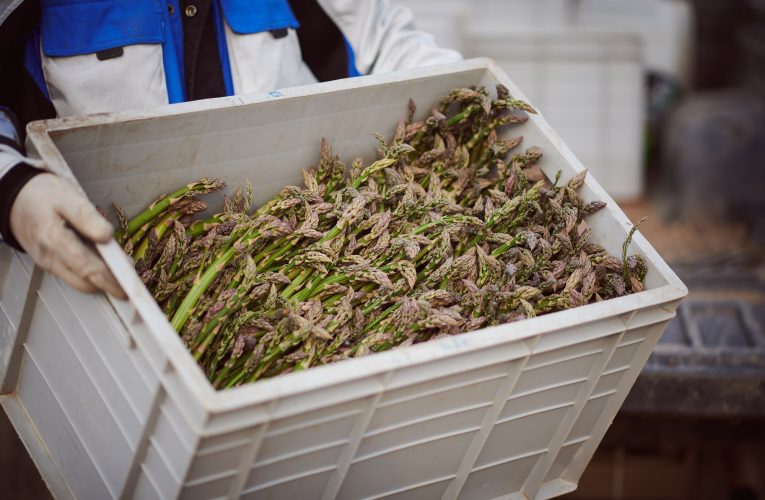 Zákazníci Rohlík.cz preferují při nákupu lokální potraviny