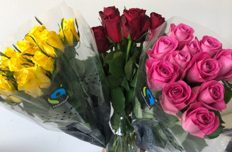 Kaufland rozšiřuje sortiment květin o fairtradové růže