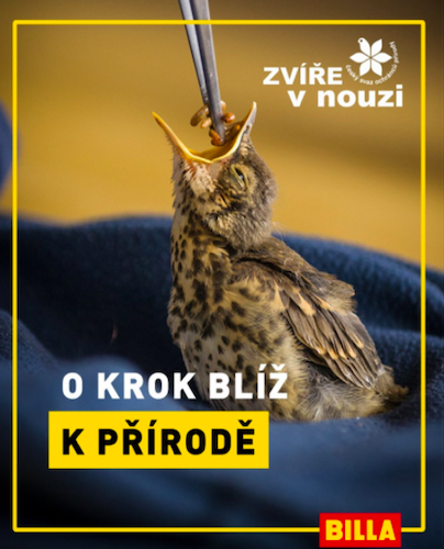 BILLA se stává partnerem Národní sítě záchranných stanic