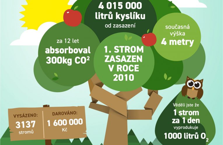 Stromy místo letáků již dvanáct let – 3 137 vysazených stromů a 1 197 tun ušetřeného papíru