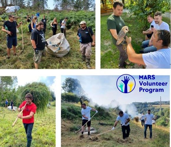 120 dobrovolníků ze společnosti Mars věnovalo v letošním roce více než 800 hodin času pomoci komunitám ve střední Evropě