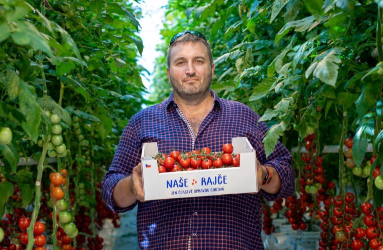 Kaufland prodává česká skleníková rajčata i přes zimu