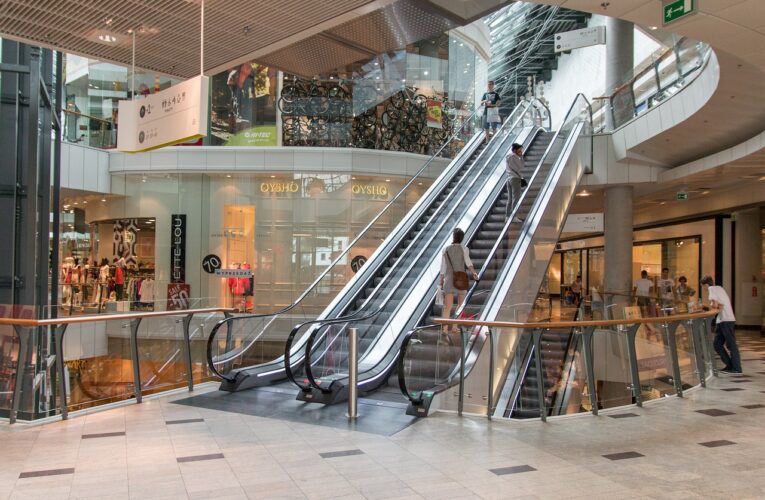 První polovina roku 2024 je rekordní, do Česka přišlo zatím 20 nových značek